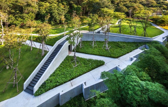 Kiến trúc sân vườn với cỏ thiết kế 