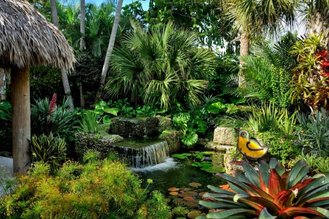 Khu vườn nhiệt đới với các loại cây đặc trưng tại đây