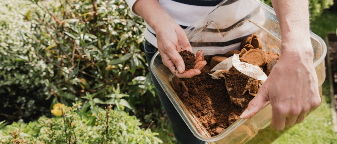 Cách sử dụng bã cà phê bón đất cây trồng