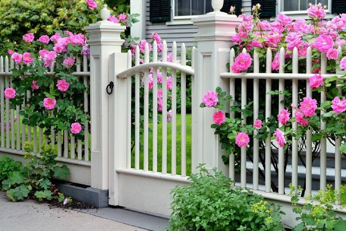 26+ Mẫu thiết kế cổng sân vườn giúp tăng giá trị ngôi nhà bạn 6