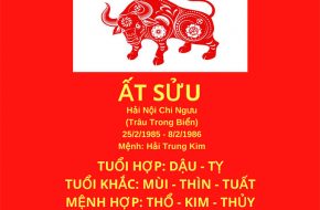 tu vi tron doi tuoi at suu