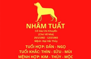 tu vi tuoi nham tuat hop huong nao