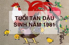 tuoi tan dau hop huong nao