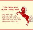 tong quan ve tuoi canh ngo hop huong nao