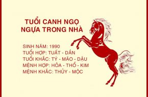 tong quan ve tuoi canh ngo hop huong nao