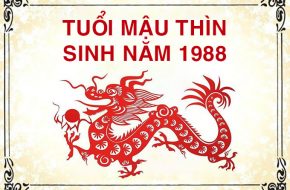 tong quan ve tuoi mau thin 1988 hop huong nao