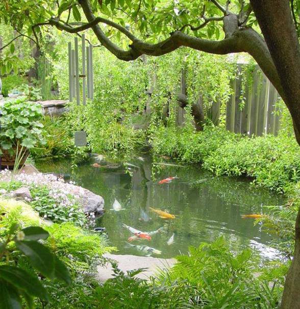 Hồ Cảnh Quan Và Ao Cá Nhỏ | Thiết Kế Dòng Suối Trong Sân Vườn