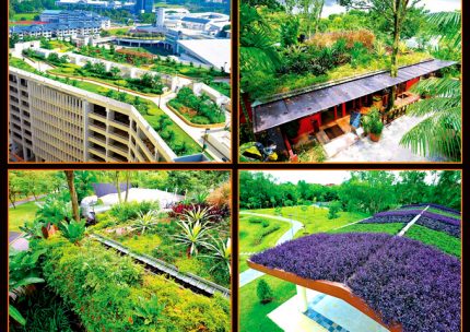 Tư vấn xây dựng, Thiết kế vườn cây xanh trên mái nhà đẹp, thiết kế nhà đẹp, nhà đẹp, nha dep