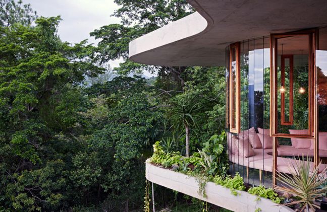 Không gian nhà đẹp giữa rừng nhiệt đới1