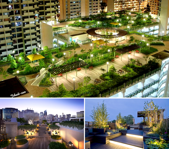 Tiểu cảnh vườn sân thượng nhà đẹp nơi giải quyết vấn đề cây xanh cho đô thị