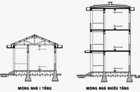 mong nha la gi