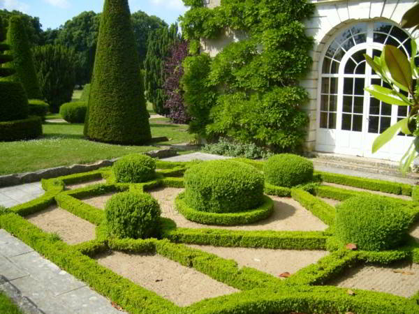 Sân vườn biệt thự đẹp kiểu hình khối cho cây xanh