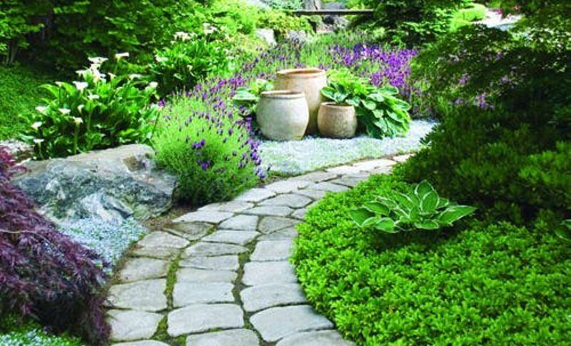 Thiết kế tiểu cảnh sân vườn đẹp với lối đi bằng đá 1