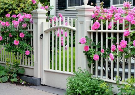 26+ Mẫu thiết kế cổng sân vườn giúp tăng giá trị ngôi nhà bạn 6