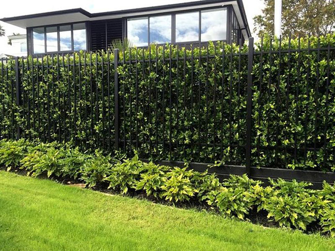 100+ mẫu tường rào đẹp cho mọi loại công trình nhà ở