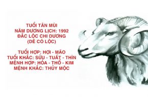 tu vi tuoi tan mui hop huong nao