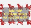 tam hop tu hanh cung và 12 con giap