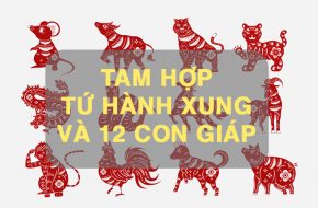 tam hop tu hanh cung và 12 con giap