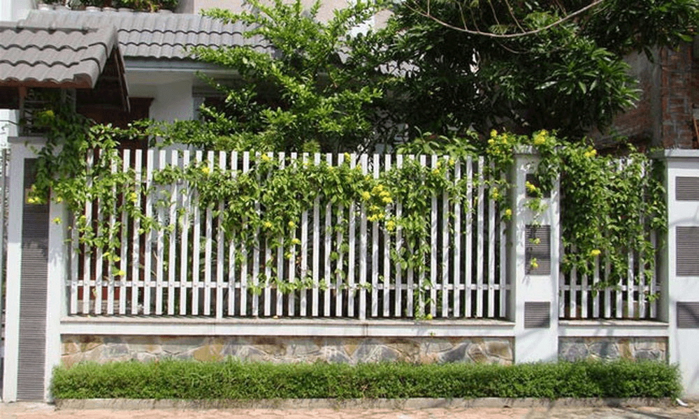 Mẫu hàng rào bằng sắt thiết kế đơn giản sơn tĩnh điện màu trắng kết hợp giàn hoa leo