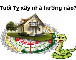 Hướng phong thuỷ nhà ở tuổi Tỵ