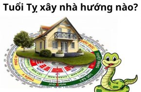 Hướng phong thuỷ nhà ở tuổi Tỵ