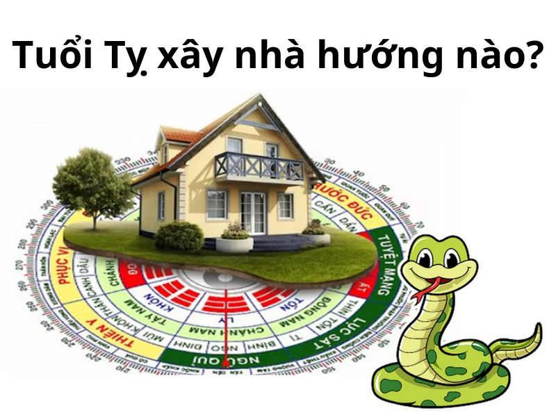 Hướng phong thuỷ nhà ở tuổi Tỵ