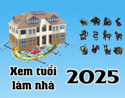 Năm 2025 có nên xây nhà không?